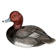 Swimming Redhead Duck Decoy