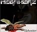 Anklicken zum Vergrößeren: Megaherz - Liebestöter (Audio CD)