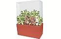 Flytrap Bog Garden Plant Cube Kit