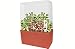 Search : Flytrap Bog Garden Plant Cube Kit