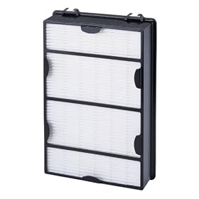 Holmes 99.97% HEPA Modular Filters - HAPF600 (2-pk.)