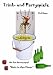 Trink- und Partyspiele