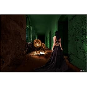 poster / affiche Beauty and the Beast est disperible en (L x H): 90 x 60 cm de M. K�hler