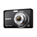 Sony DSCW310 Cyber-Shot Digital Camera (12.1 MP, 4 x Optical Zoom, 2.7 inch LCD) - Black