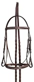 Collegiate Raised Fancy Stitched Padded Bridle