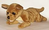 Plush Chihuahua Dog 19