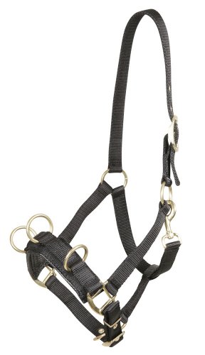PFIFF Kappzaum aus Nylon mit Messingbeschl&auml;gen, schwarz, Cob/Vollblut, 005146-60-Cob Preisvergleich
