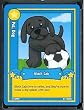 Ganz WebKinz Trading Card #8 Black Lab - Mint Condition - Shipped in Protective Case!