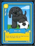 Ganz WebKinz Trading Card #8 Black Lab - Mint Condition - Shipped in Protective Case!