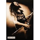 Pantera - Posters - Import