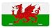 Wales Welsh Dragon Flag Auto License Plate