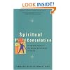 Spiritual Consolation: An Ignatian Guide for Greater Discernment