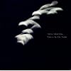 Voices in the night