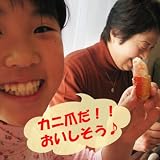 ペンションやレストランなどに4箱（28ｋｇ）のズワイガニ（１箱あたり１６３００円）（送料無料）
