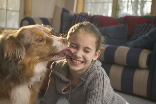 The Secret of Pampering Your Dog