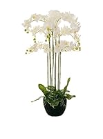 Evergreens Planta Artificial Phalaenopsis Blanco