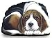   - Beagle - Pupper Weights