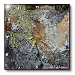 Amber and Silver Lichen Rock - 10x10 Wall Clock