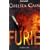 Furie: Thriller
