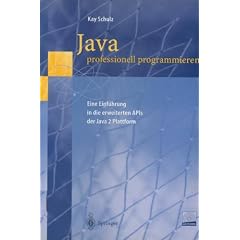 Java professionell programmieren: Eine Einf�hrung in die erweiterten APIs der Java 2 Plattform