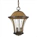 Great Outdoors by Minka 8234-163 Amarante Outdoor Hanging Lantern in Amarante Gold