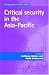 Critical Security in the Asia Pacific (New Approaches to Conflict Analysis) (New Approaches to Conflict Analysis) (New Approaches to Conflict Analysis)