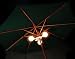 Premier 3 Globe Parasol Lights