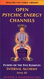 Fusion of the Five Elements Level III: Open Psychic Energy Channels