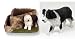Border Collie Triangle Planter