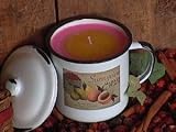8-10oz Pink Lemonade Enamelware Mug Soy Candle