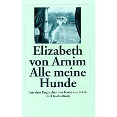 Alle meine Hunde: Roman (insel taschenbuch)