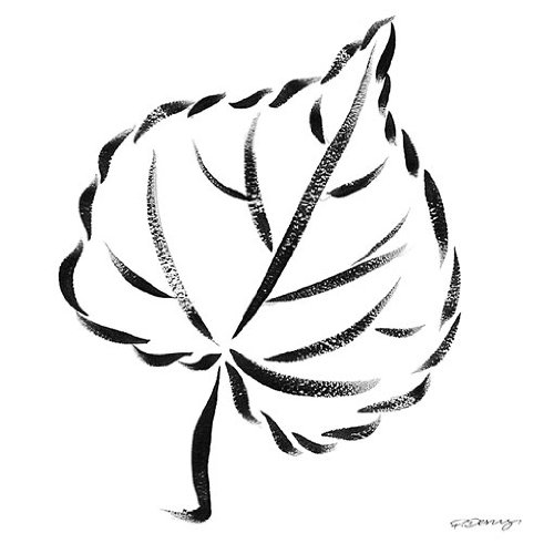 Eurographics PDE1012 Paul Desny, Lime-Tree Leaf 30 x 30 cm, Hochwertiger Kunstdruck