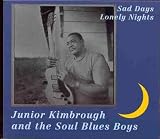 Sad Days, Lonely Nights [VINYL]