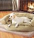Medium Cuddle Couch-Caramel