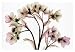 Hellebore 2 (Oversize) - Steven Meyers Art Print Poster 54 x 36