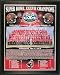 Tampa Bay Buccaneers Super Bowl XXXVII Champions Healy Plaque