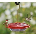 Aspects Hummingbird