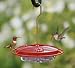41EJp3ivLZL. SL75  Aspects Hummingbird Hummzinger Mini Feeder