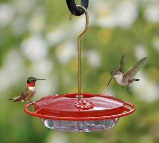 Aspects Hummingbird Hummzinger Mini Feeder 41EJp3ivLZL Aspects Hummingbird Hummzinger Mini Feeder