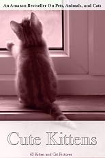 Cute Kittens