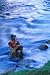 Wallmonkeys Peel and Stick Wall Decals - Fly Fishing on the Snake River - Removable Graphic