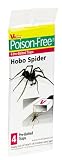 Victor Poison-Free M293 Hobo Spider Trap, 4-Pack