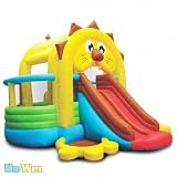 Lion's Den Bounce House with Slide