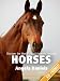 Horses - Beautiful Photos and Fun Horse Facts for Kids (Discover the World's Most Amazing Animals Series)