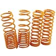 Scion 05-06 tC Megan Racing Lowering Coil Springs