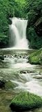 Brewster Wallcovering 2-1047 Waterfall 2 part Door Mural 3' 2