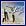 Seagulls of Kristiansund: Live at the Village Vanguard