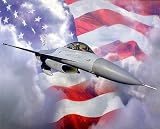 F-16A Fighting Falcon Fighter Jet and Flag Aircraft 16x20 Art Print