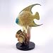 Imperial Angelfish & Friends