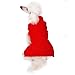 Blueberry Pet Classic Cable Knit Tomato Red Dog Sweater, Back Length 12